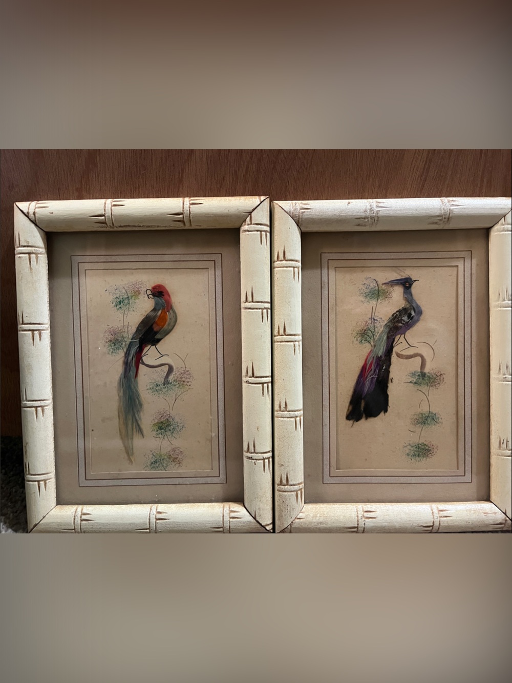 Framed feathered Bird Art Prints in Cream Bamboo-Style Frames